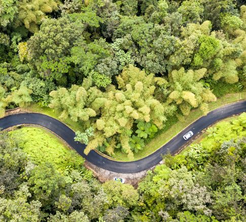Combien coûte une location de voiture en Martinique ? Combien coûte une location de voiture en Martinique ?
