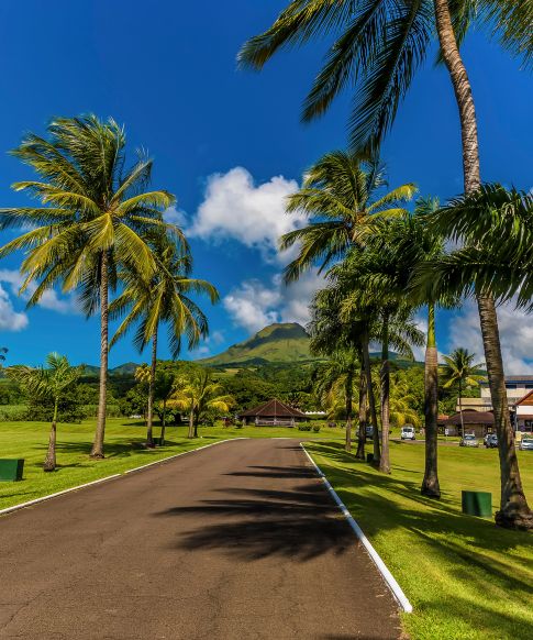 Location de voiture pour découvrir les merveilles de la Martinique Location de voiture pour découvrir les merveilles de la Martinique