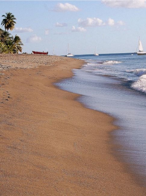 location de voiture martinique