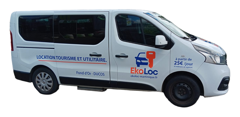 minibus renault trafic 9 places location martinique