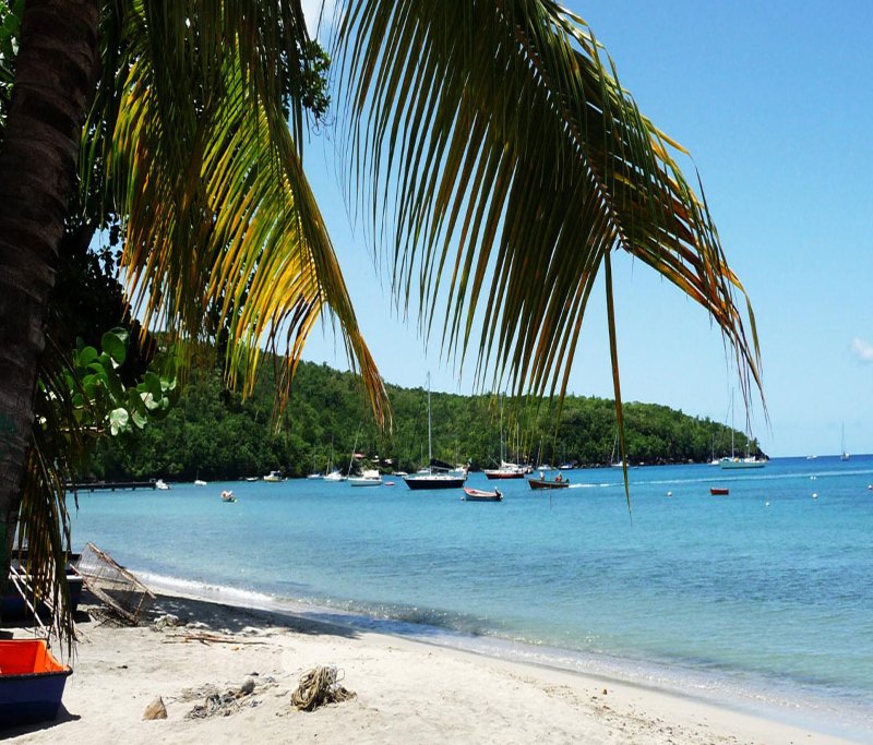 plage anse darlet martinique ekoloc 1