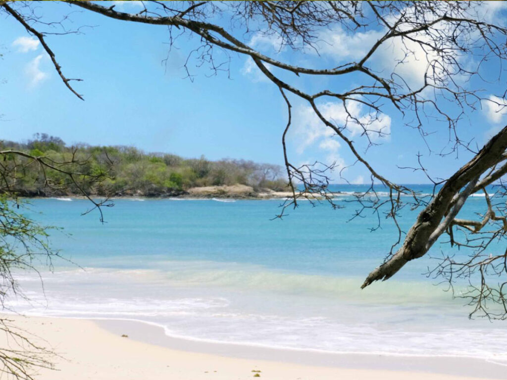 Top 10 des Plages de Martinique à Découvrir en Voiture - Plage de l' Anse Meunier Sainte Anne