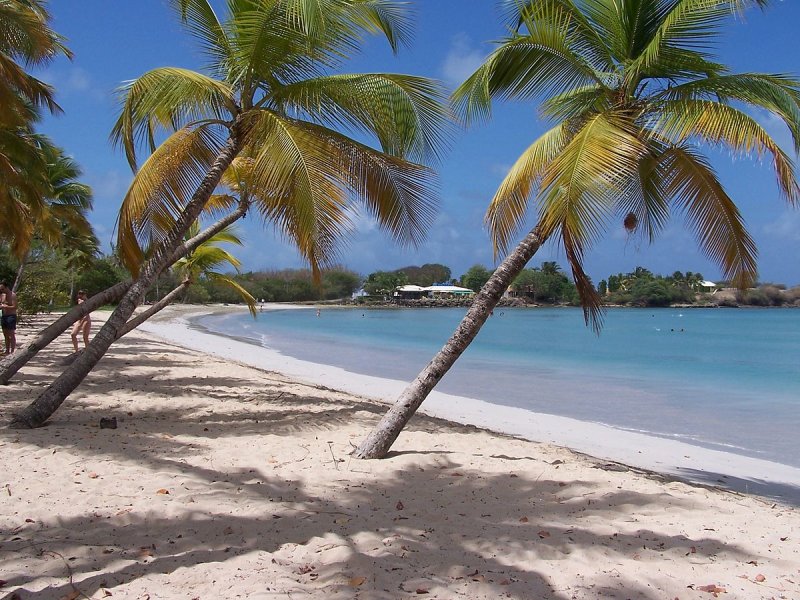 Plage des salines